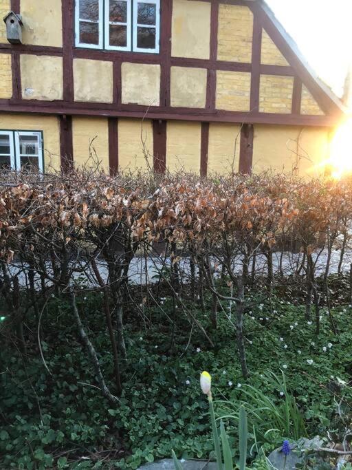Idyllisk, Historisk Byhus Ved Fjorden I Mariager Kültér fotó